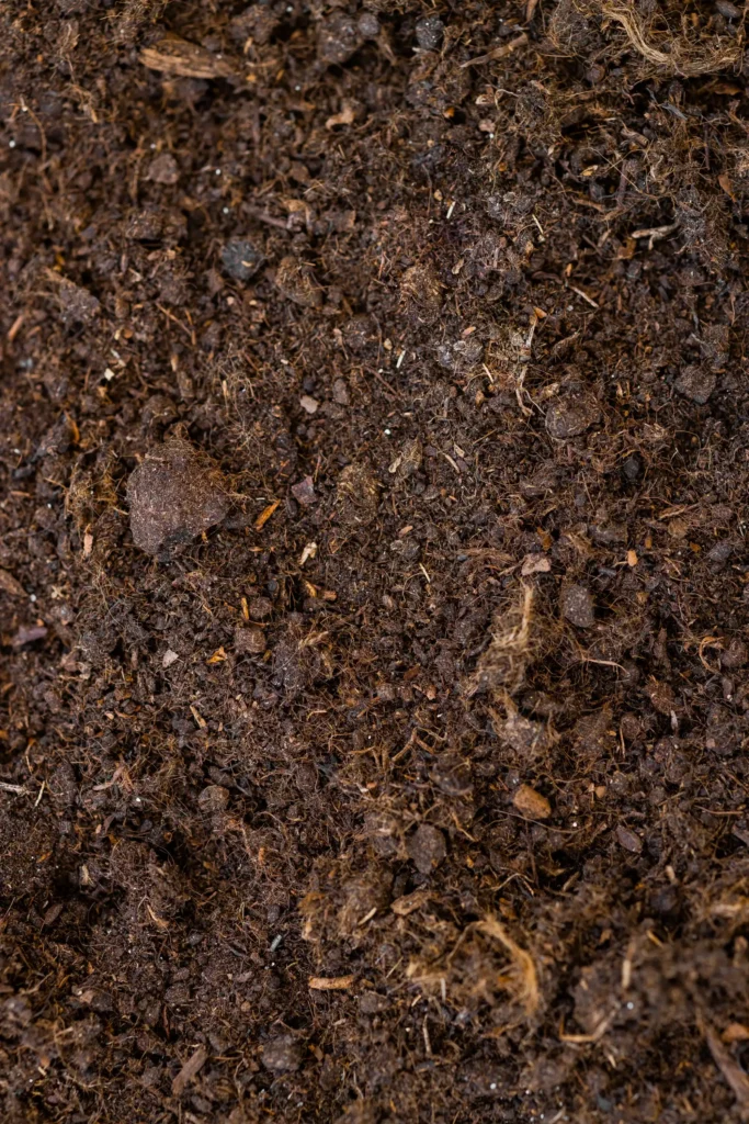 พีทมอส (Peat Moss) ความสำคัญ, การใช้งาน และประโยชน์ในเกษตรกรรม 3 พีทมอส (Peat Moss) ความสำคัญ, การใช้งาน และประโยชน์ในเกษตรกรรม