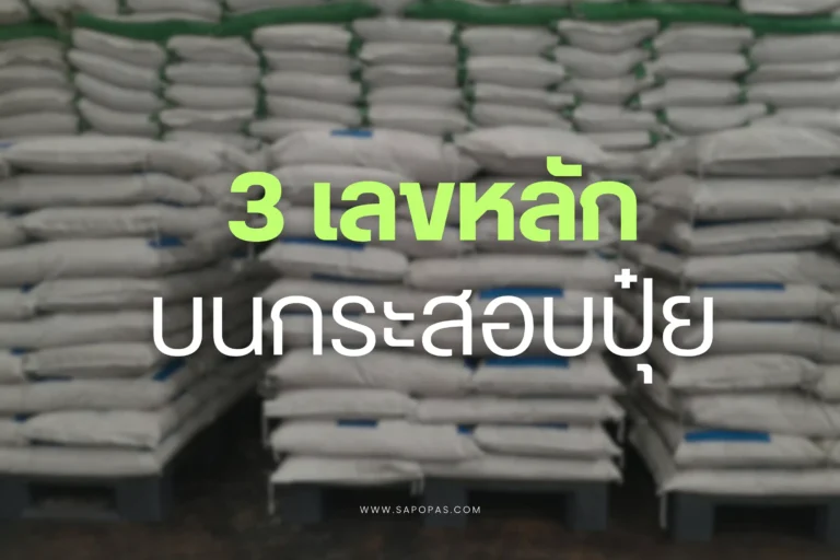 3 เลขหลักบนกระสอบปุ๋ย-cover