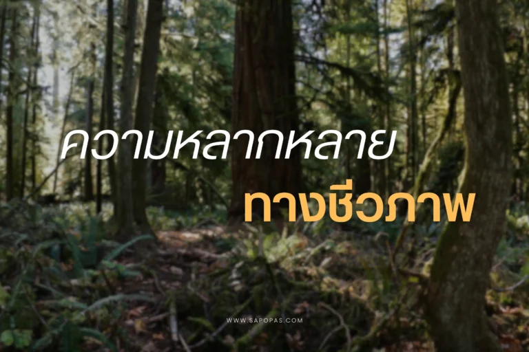 ความหลากหลายทางชีวภาพ-cover