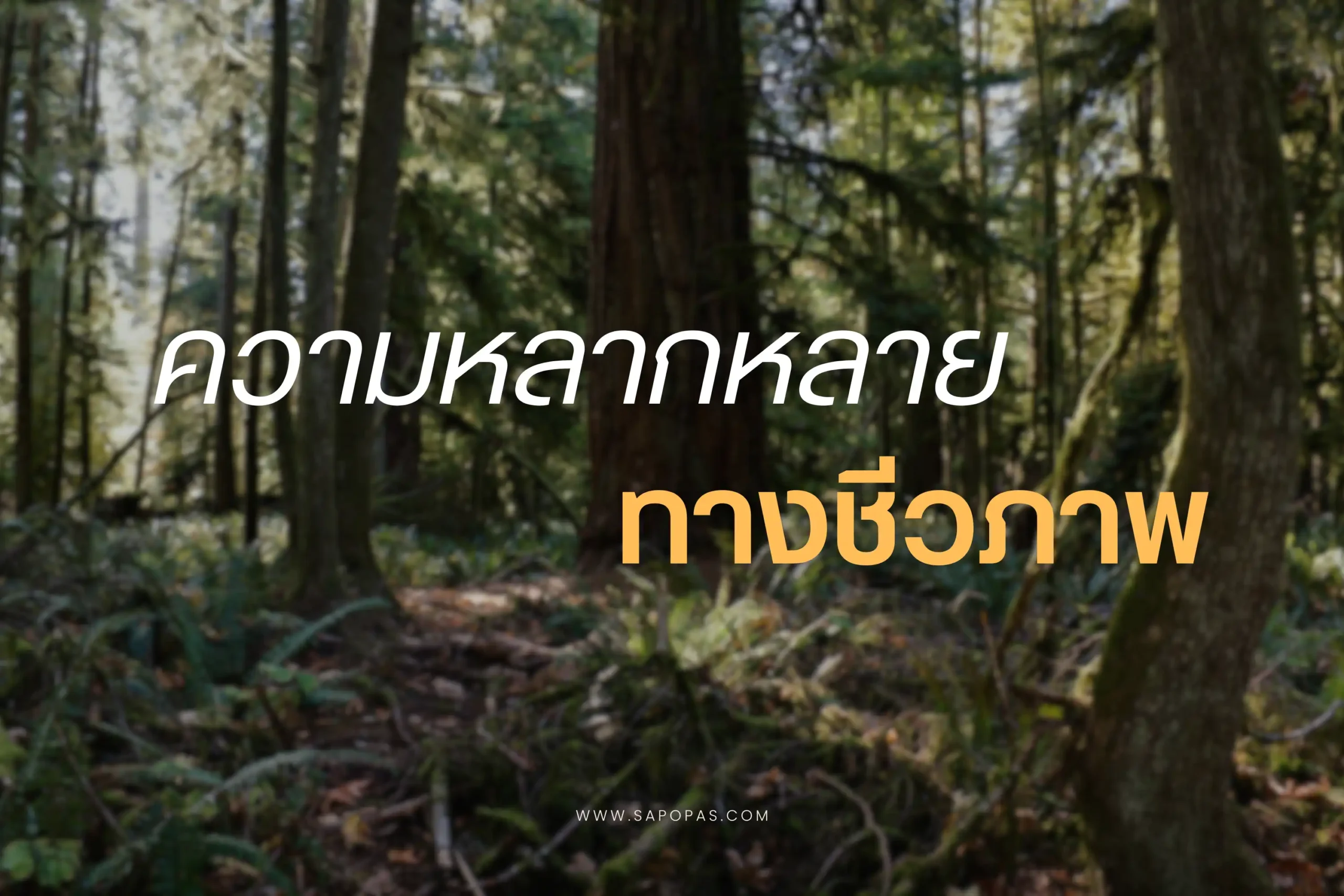 ความหลากหลายทางชีวภาพ (Biodiversity) 1 ความหลากหลายทางชีวภาพ-cover