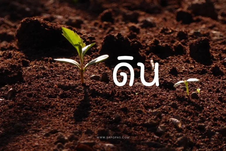 ดินคืออะไร-cover